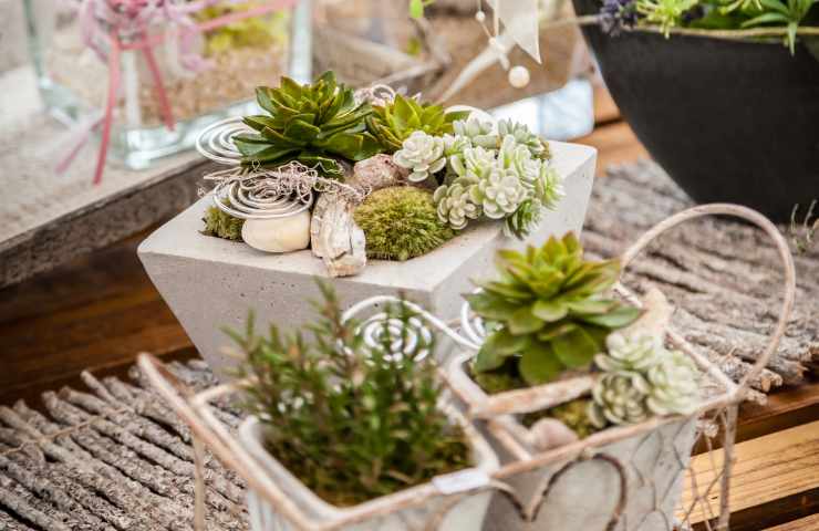 Cosa usare per creare un giardino in stile shabby style