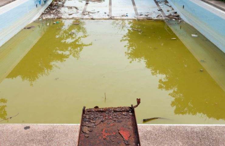 come pulire una piscina sporca