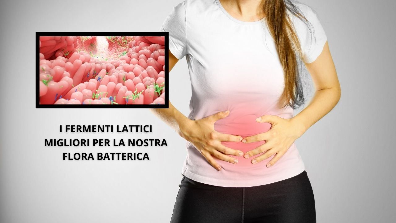 migliori fermenti lattici