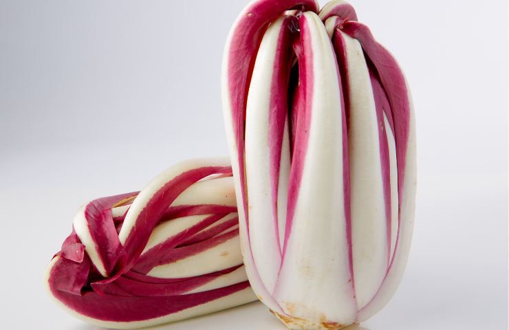 Quando mangiare il radicchio