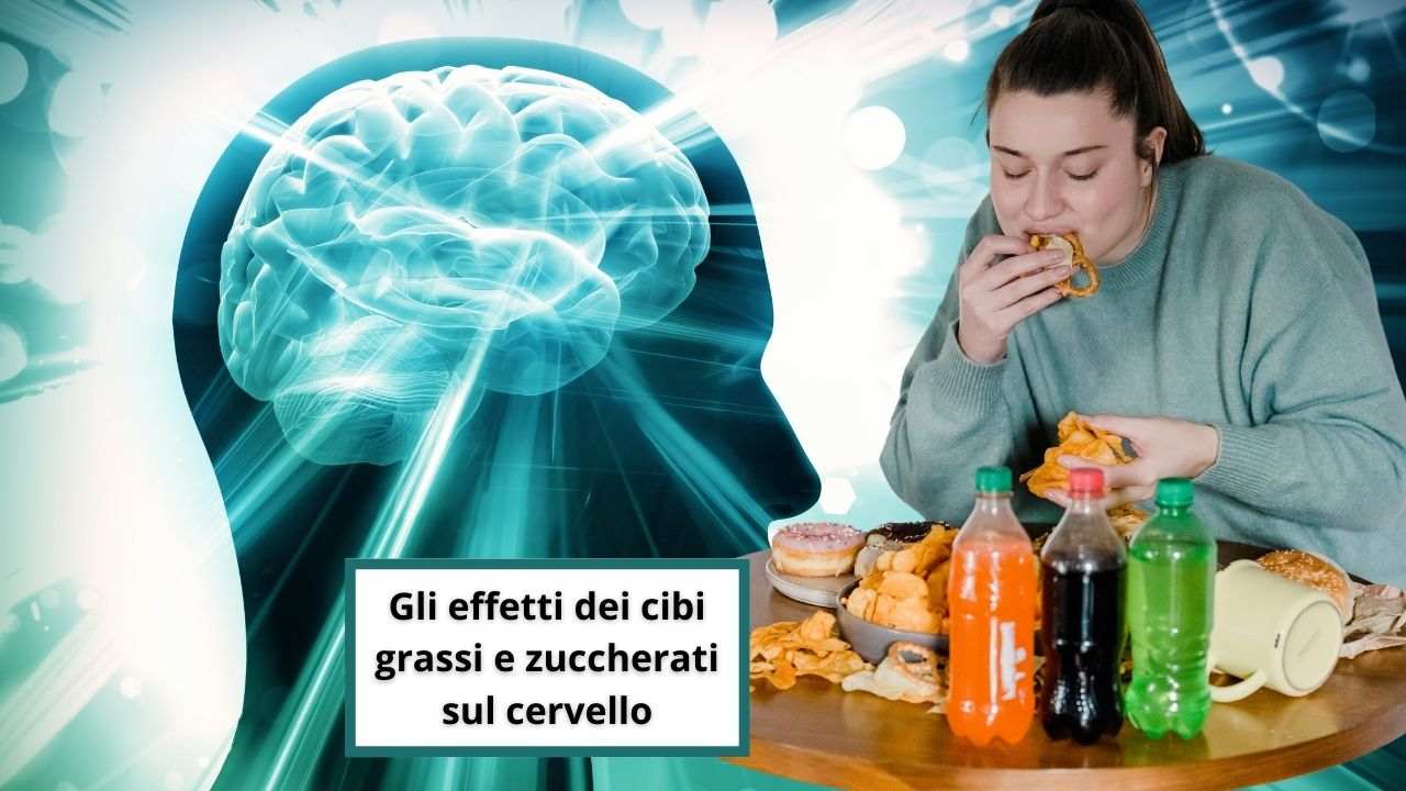 zuccheri grassi effetti cervello