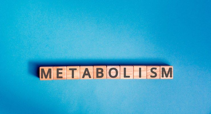 Metabolismo falsi miti