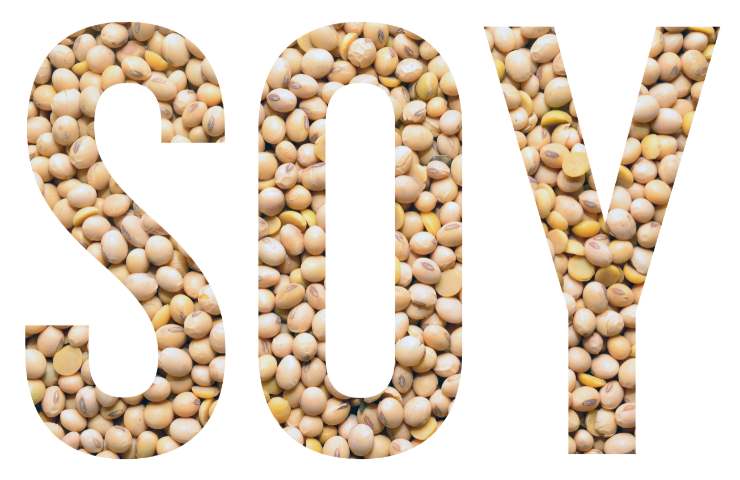 Perché si consiglia di mangiare la soia, proprietà e benefici