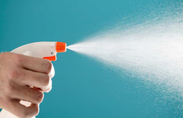 Spray per insetti