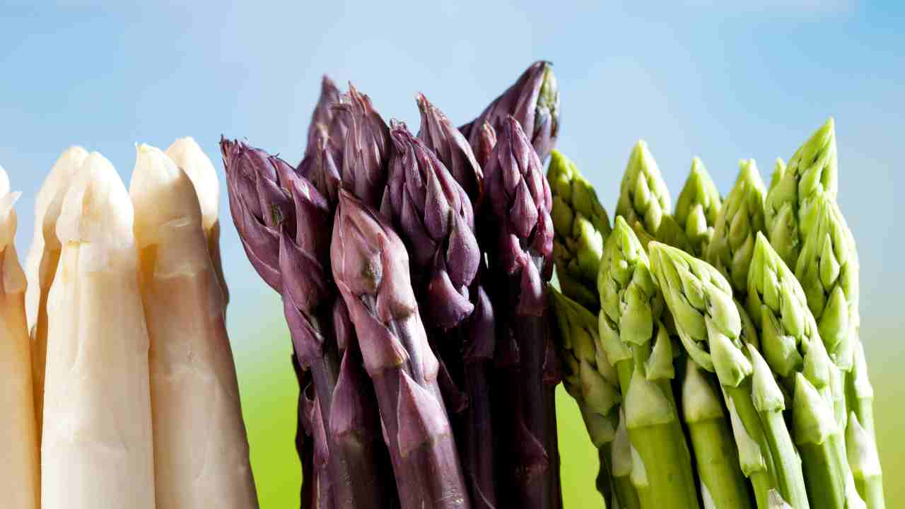 asparagi come cucinarli ricette preparazione conservarli