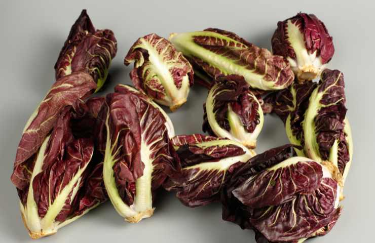 Quando mangiare il radicchio