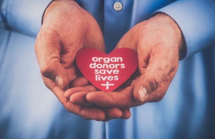 donazione organi cos'è