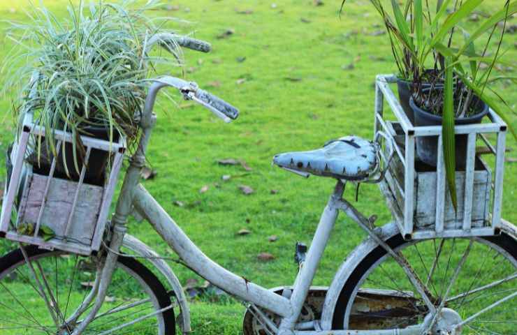 fioriera a forma di bici