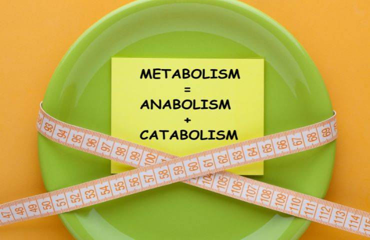 metabolismo salute consigli
