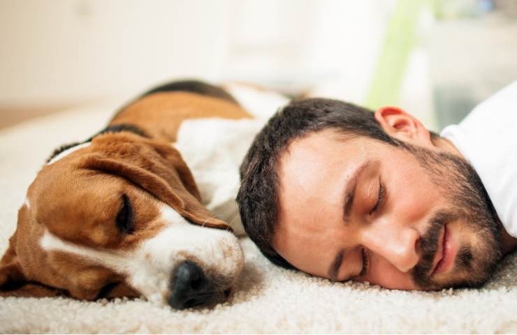 Cosa comporta dormire il pomeriggio?