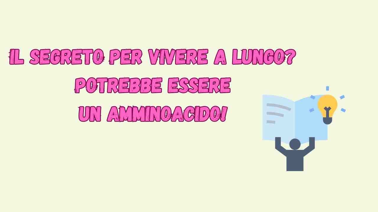 Vivere a lungo