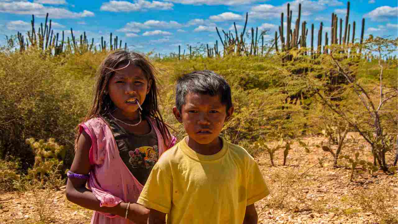 Bambini sopravvivono nella giungla dell'Amazzonia dopo 40 giorni