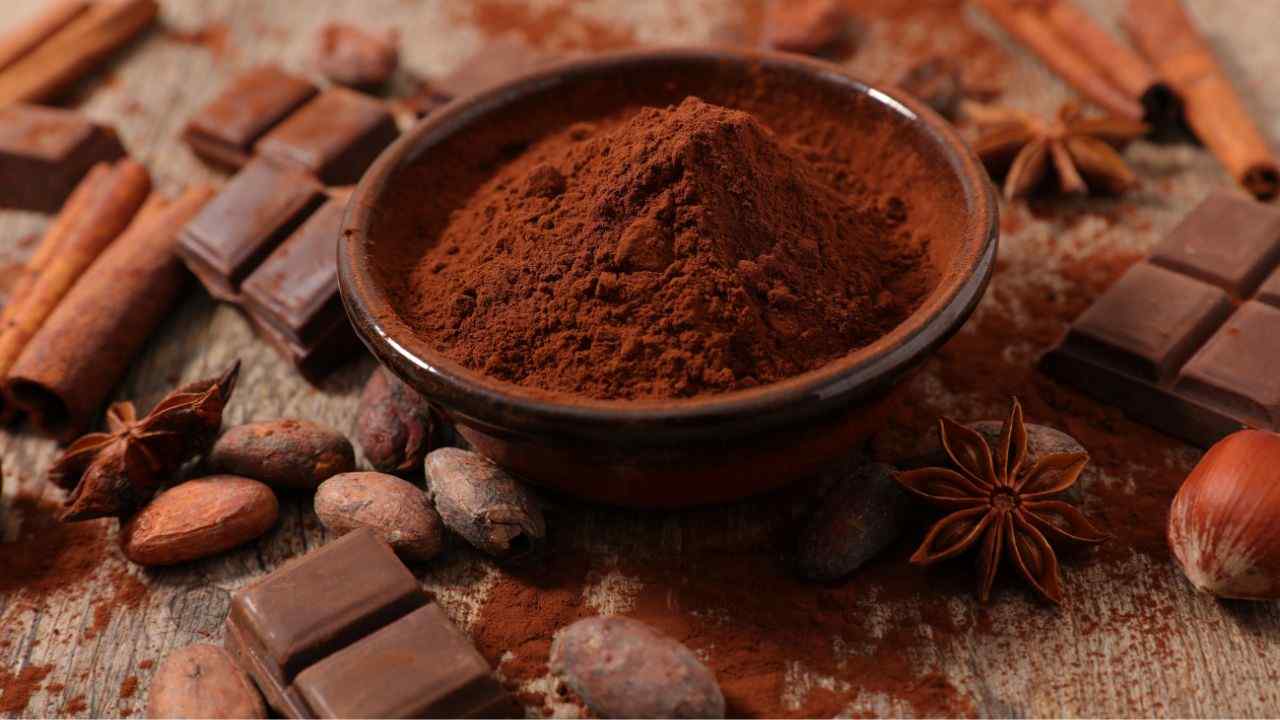 come è nato il cacao