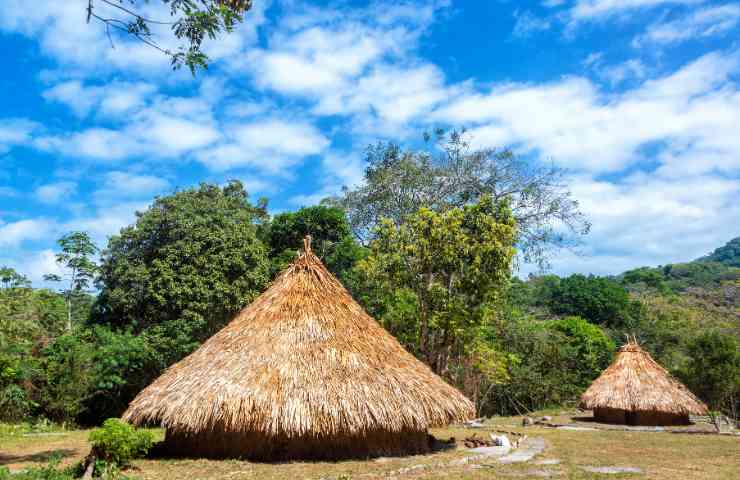 Bambini sopravvivono nella giungla dell'Amazzonia dopo 40 giorni