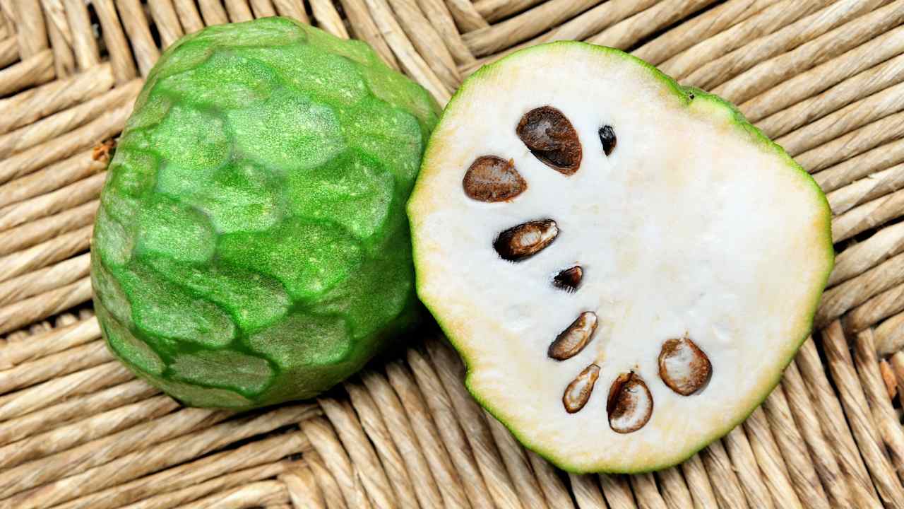 Cherimoja frutto proprietà incredibili