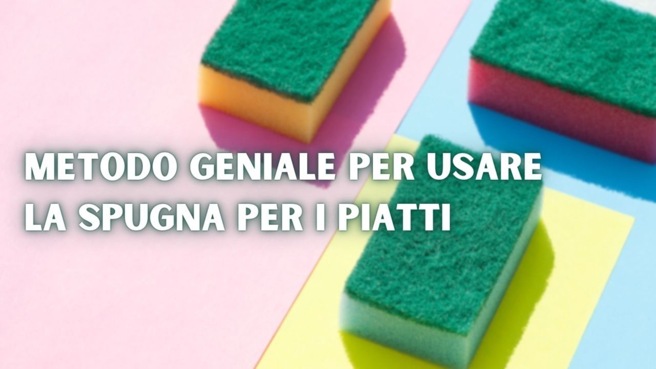spugnetta per piatti