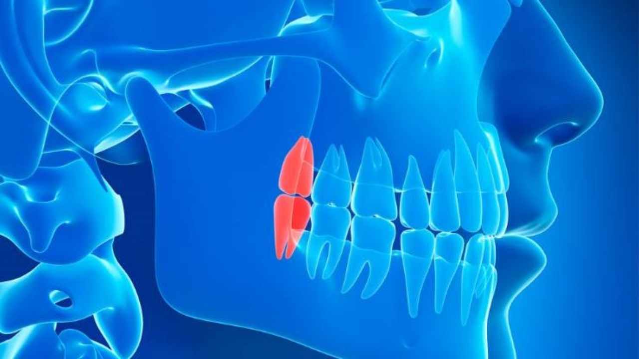 Quali parti del corpo sono inutili?