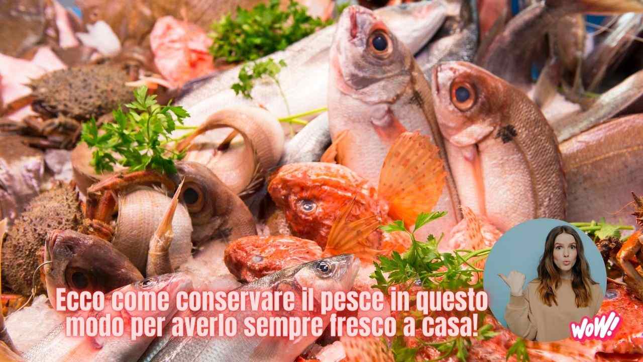 pesce fresco conservazione