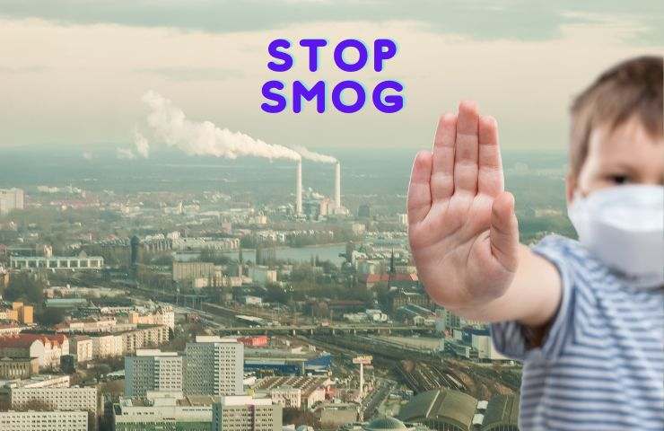 stime Europa mortalità smog