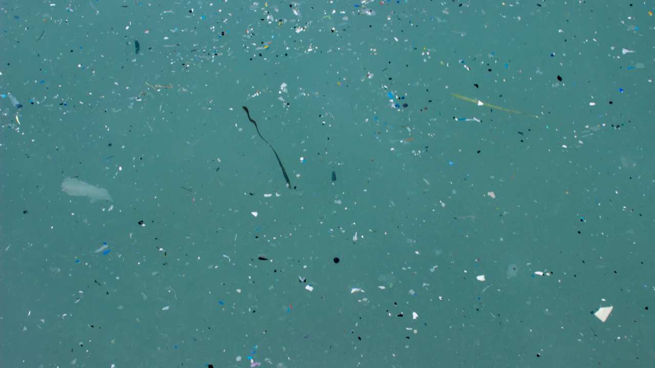 Cosa sono e dove si trovano le microplastiche?