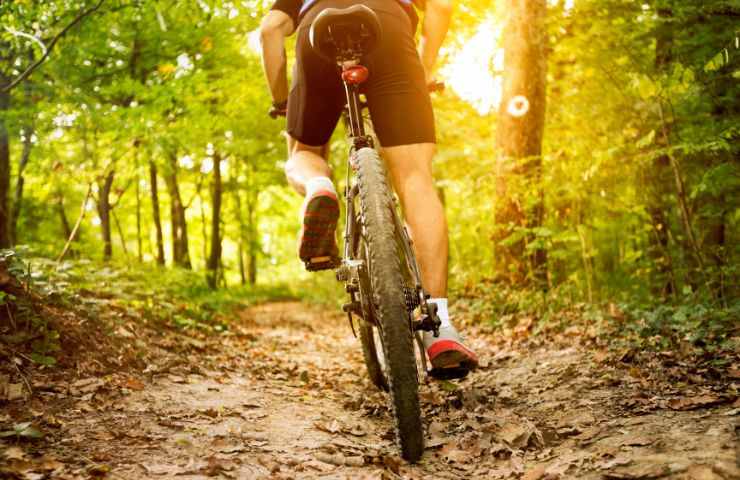 Pedalando tra i boschi