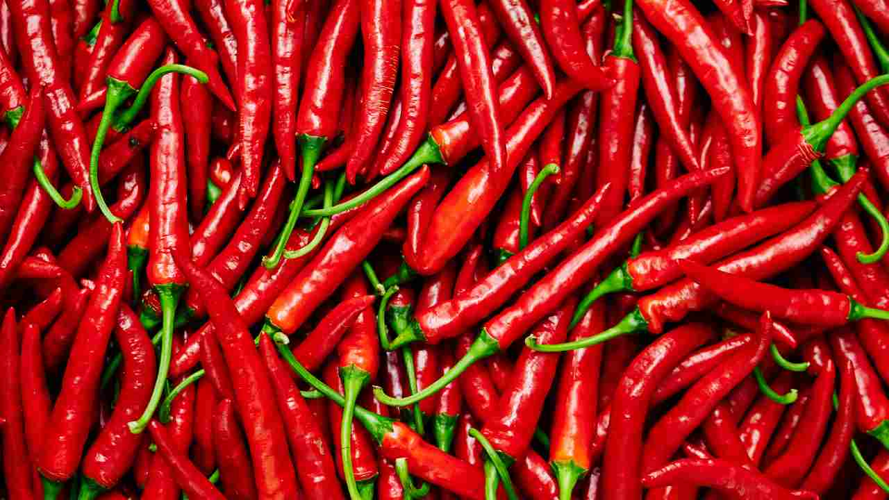 Come coltivare peperoncino