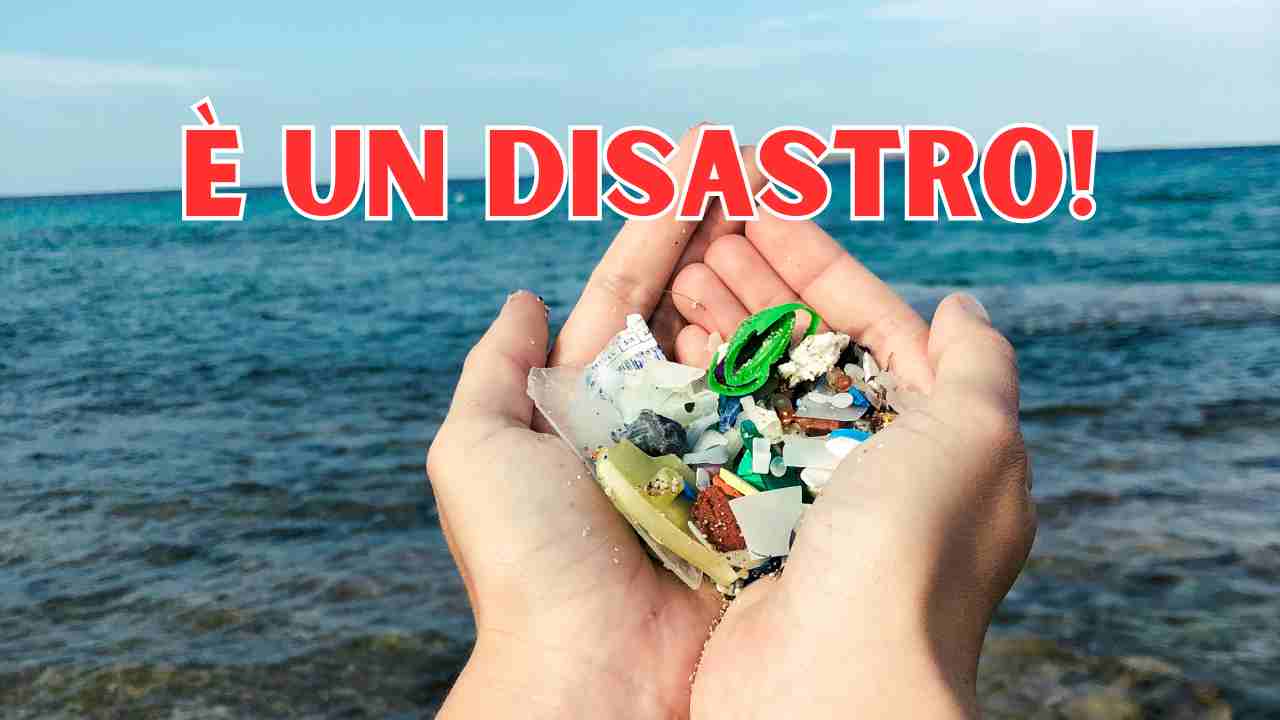 Cosa sono e dove si trovano le microplastiche?