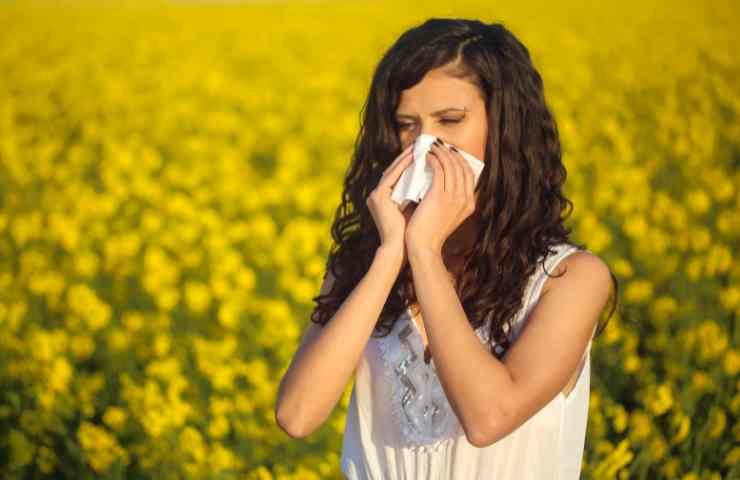 Allergia polline