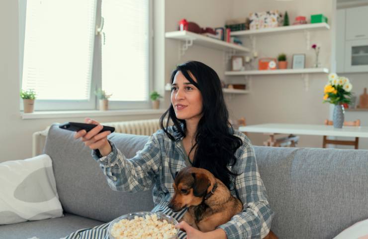 Cosa vede un cane che guarda la tv