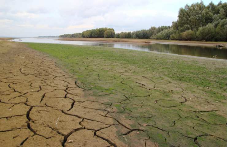 Quali sono i segnali di una infezione e perché sono in aumento