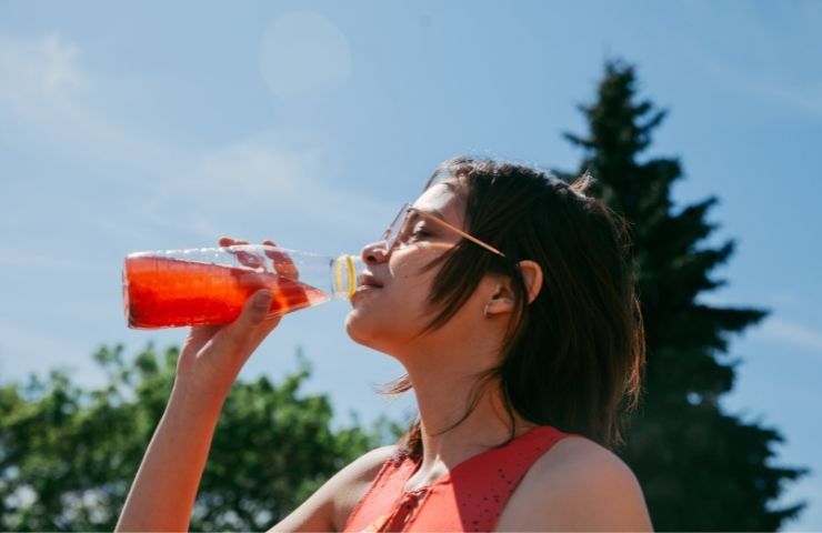 succo di mirtillo dieta fatto in casa