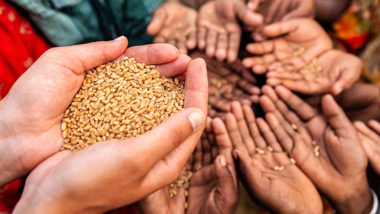 fame nel mondo curiosità