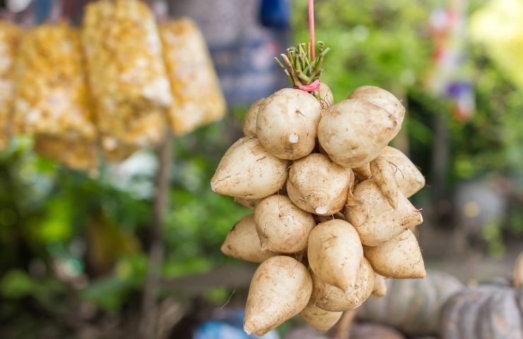 patata dolce dieta