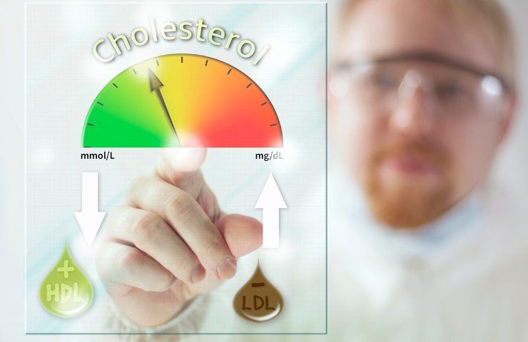 cos'è il colesterolo endogeno