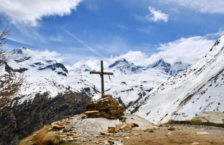 gran paradiso flora curiosità