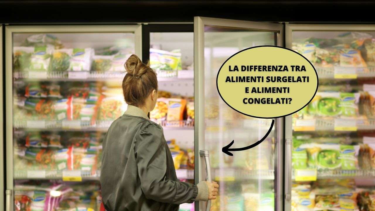 differenza alimenti congelati surgelati