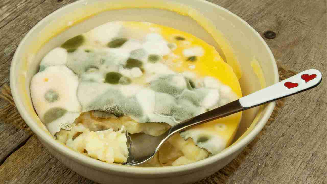 Che conseguenze ci possono essere nel mangiare del cibo con la muffa