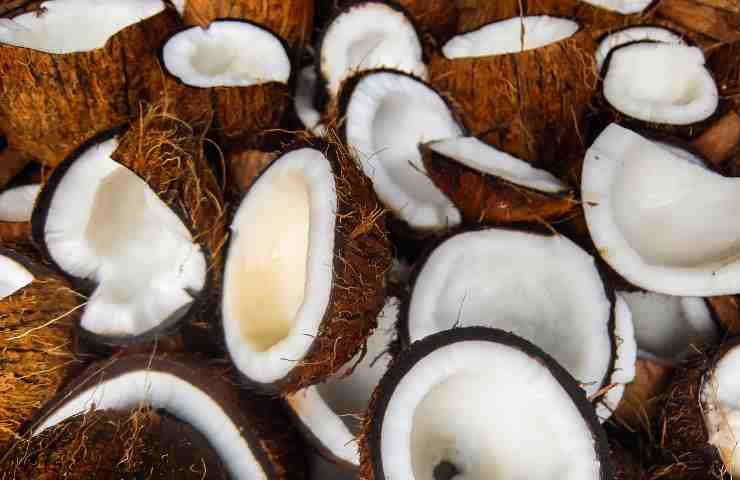 Cocco benefici