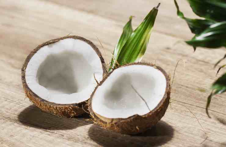 Cocco benefici