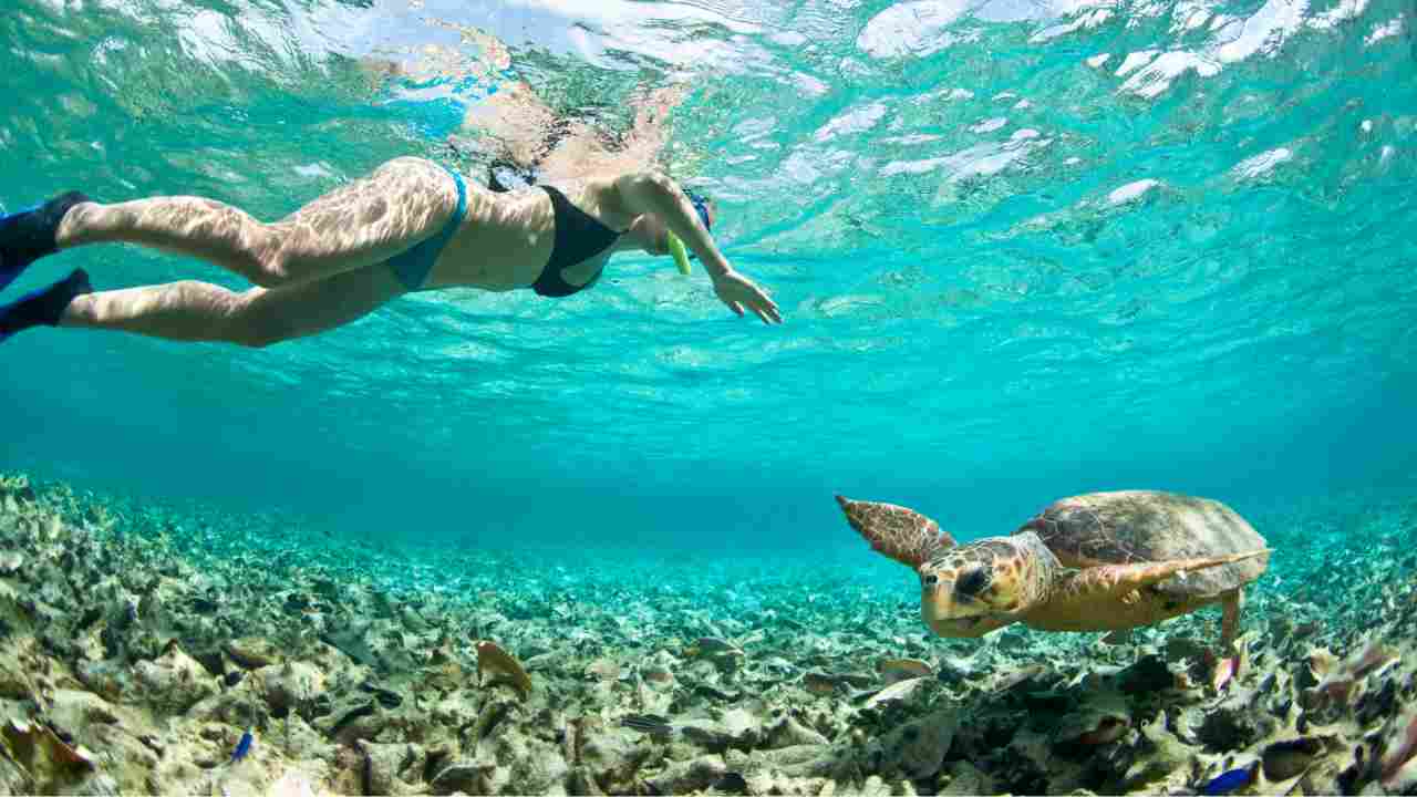 Perché nuotare in mare fa bene alla salute