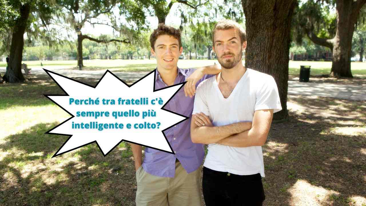 fratelli più intelligenti