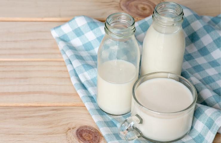 Latte e menta fa bene alla salute con la ricetta fatta in casa