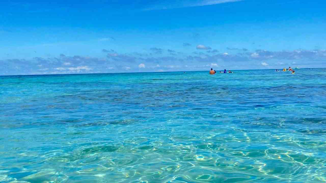 Perché e come nasce l'odore del mare