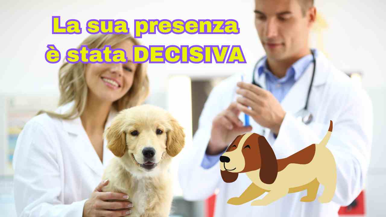 Cane in sala operatoria aiuta la padrona a partorire