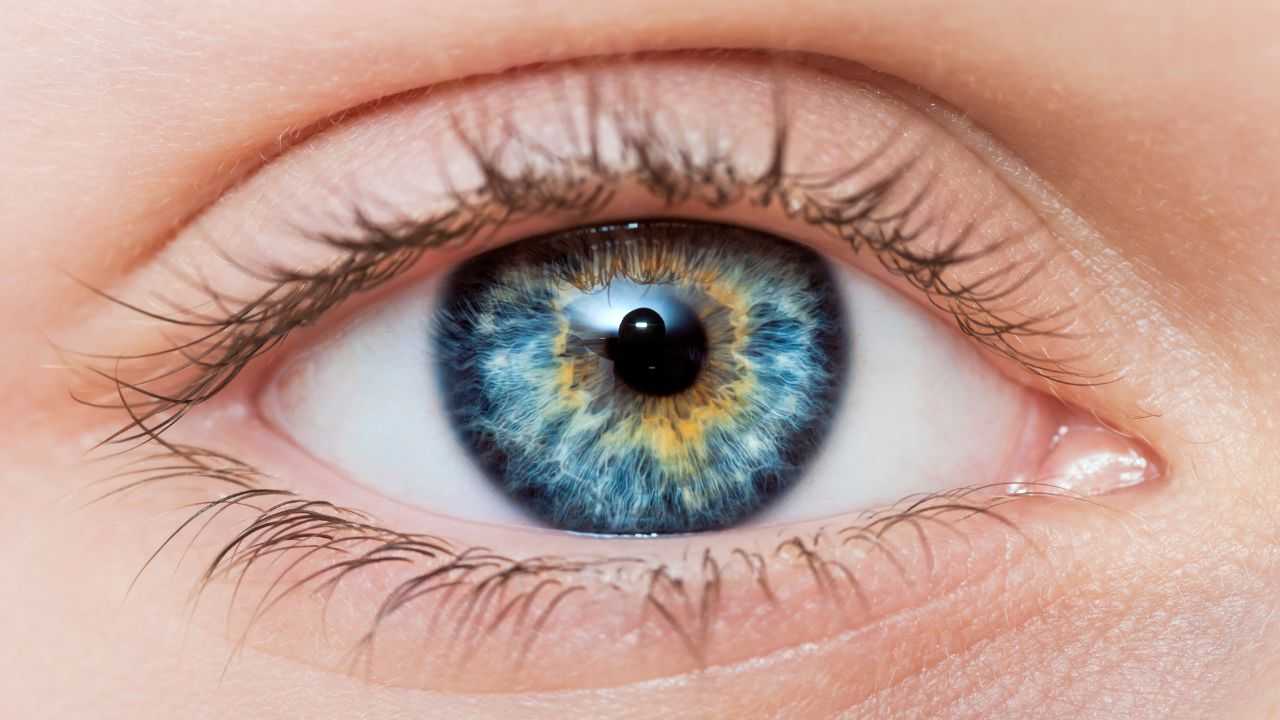genetica occhi azzurri