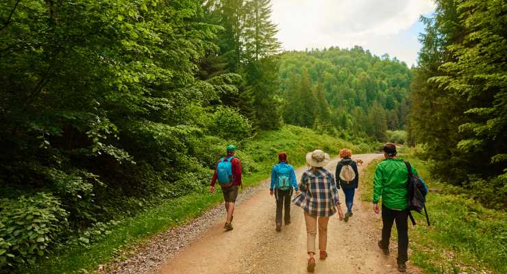 Passeggiare natura benefici corpo mente