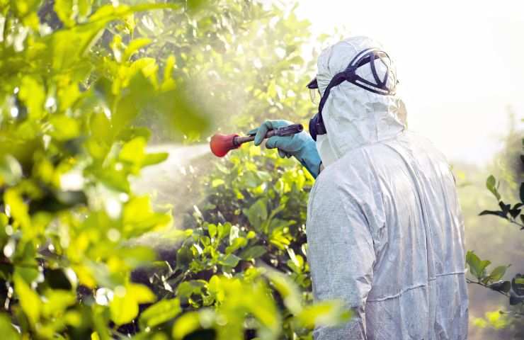 Pesticidi nella marmellata