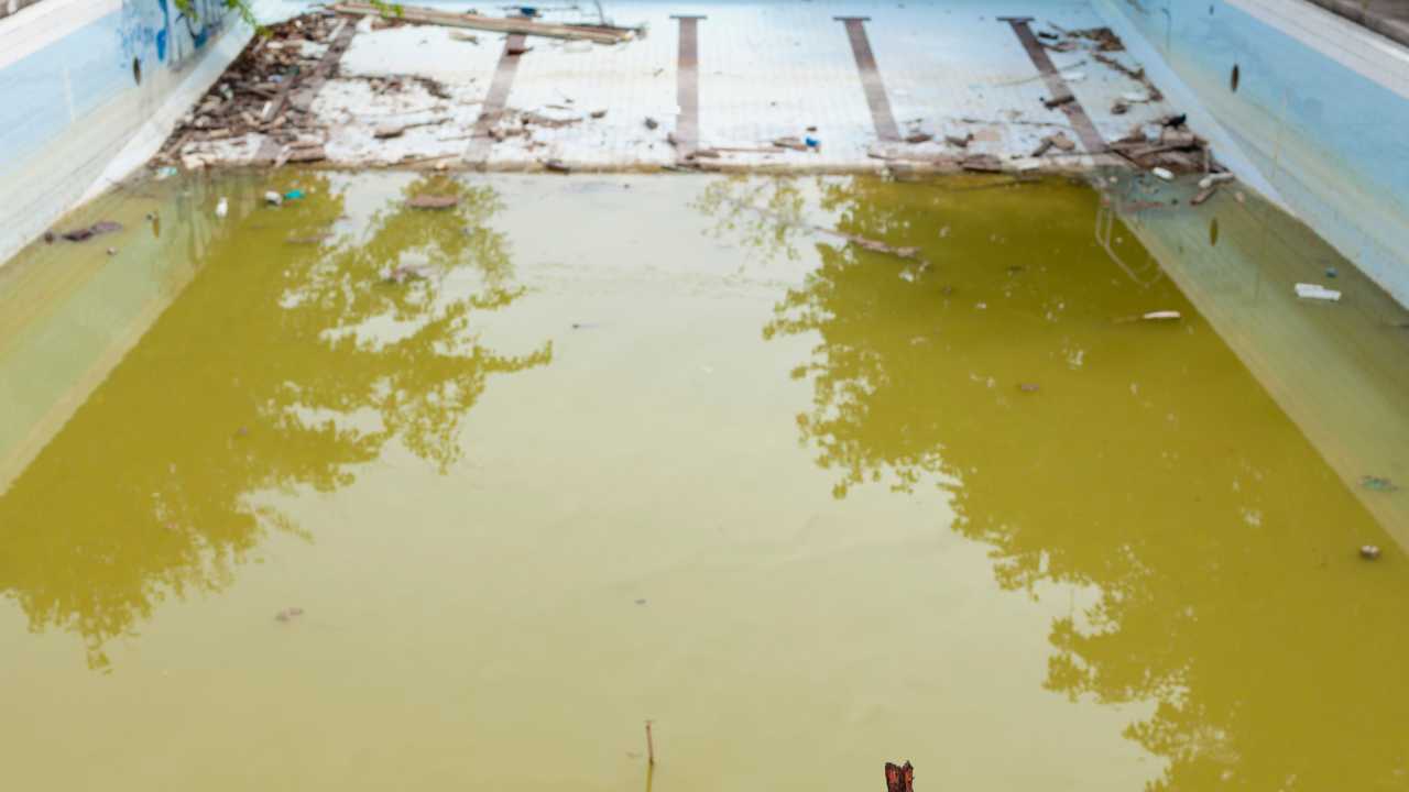 Non entrare in piscina quando l'acqua è così