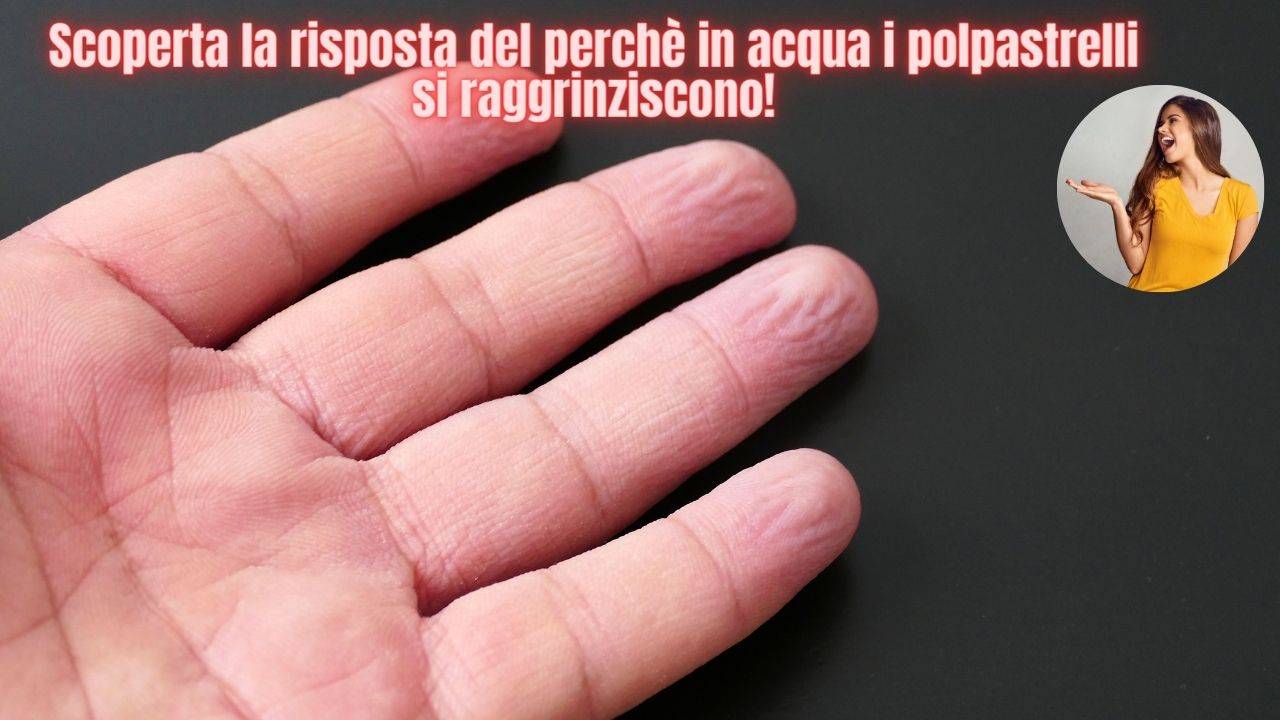 polpastrelli dita curiosità