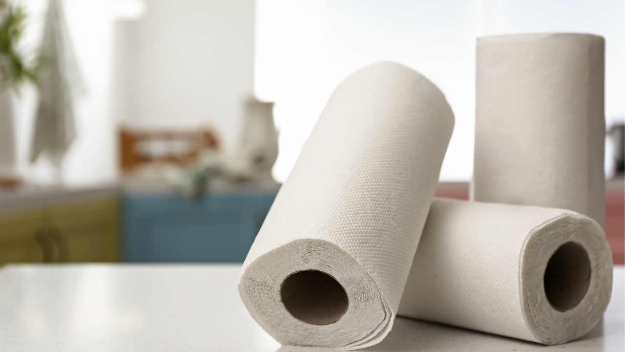 Jantex Rotolo Da Cucina 2 Strati – Confezione Da 24 Rotoli, 45 Fogli Da 11,5m, Estremamente Assorbente